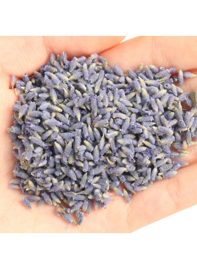 Dried Fragrant Lavender Buds Organic Wholesale, French Blue Ultra Grade - 1/2 Pound 230g - Image 4
